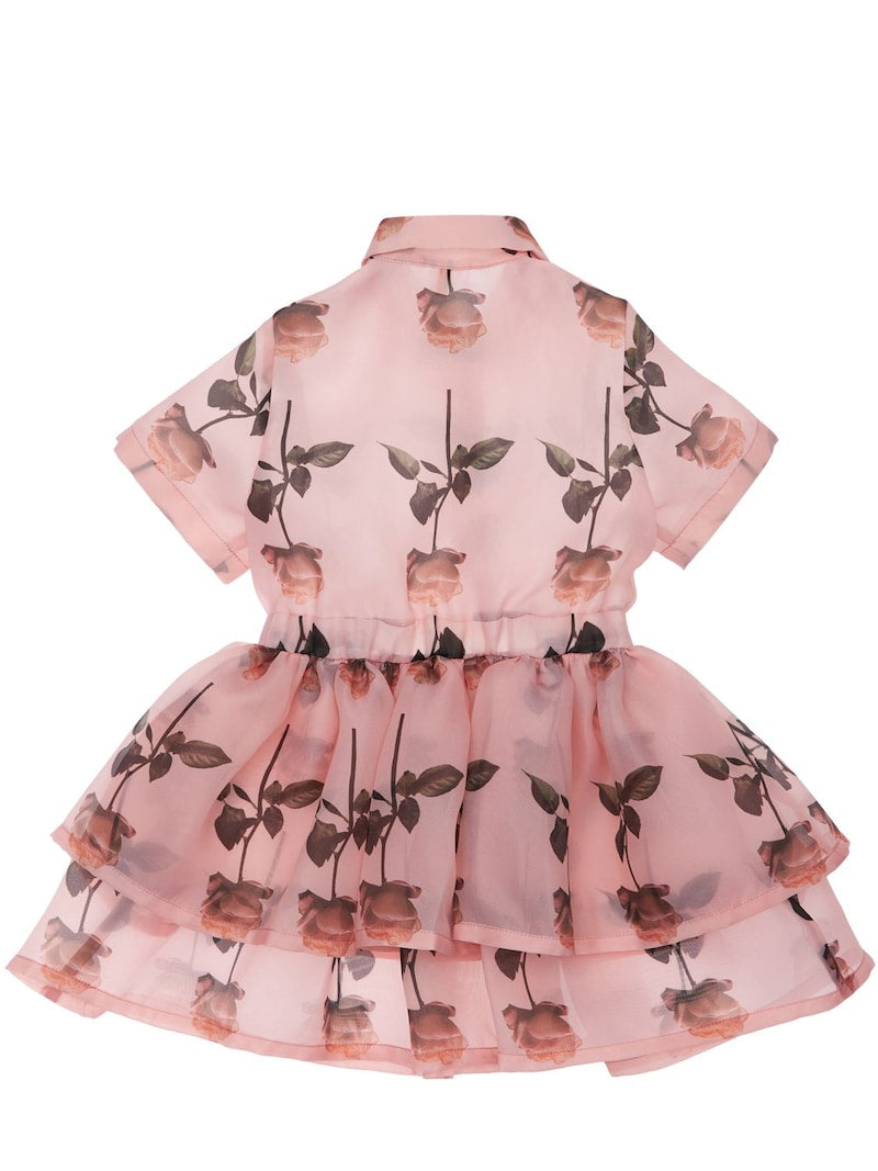 Caroline Rose dress